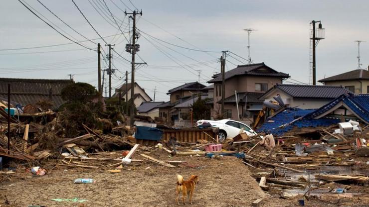 Fukuşimada felaketin 10. yıldönümü