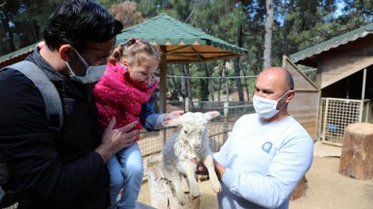 Antalya Hayvanat Bahçesinde yeni yavru sevinci