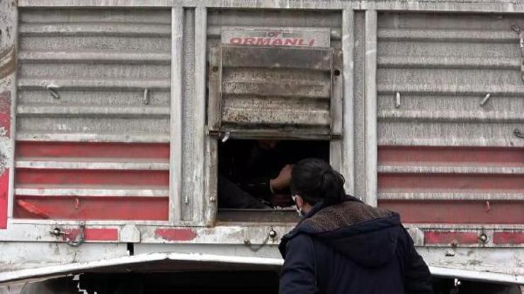 Vanda TIRın dorsesinde 218 kaçak göçmen yakalandı