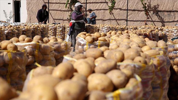 SON DAKİKA: Çiftçinin elinde kalan patates, soğan ve çeltik satın alınıp vatandaşa dağıtılacak