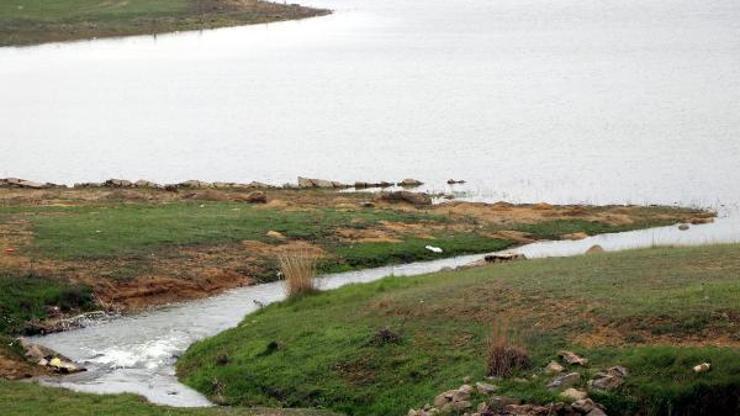 Kuruyan Altınyazı Barajına, 20 yıl sonra Meriç Nehri’nden su verildi