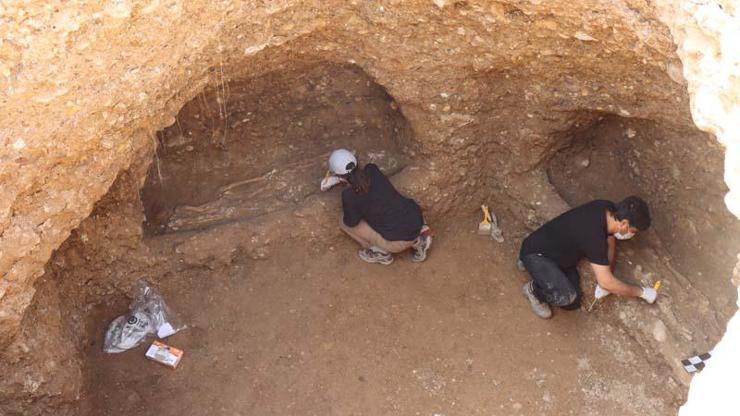 Adıyamanda içerisinde 7 insan iskeleti olan oda mezar bulundu
