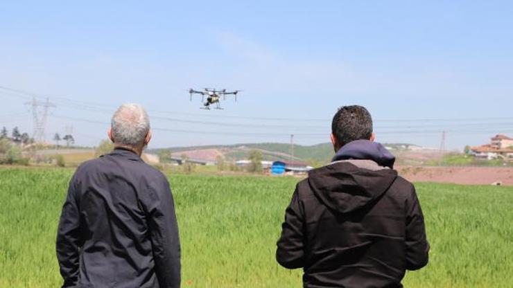 Tarım arazileri dronla ilaçlandı