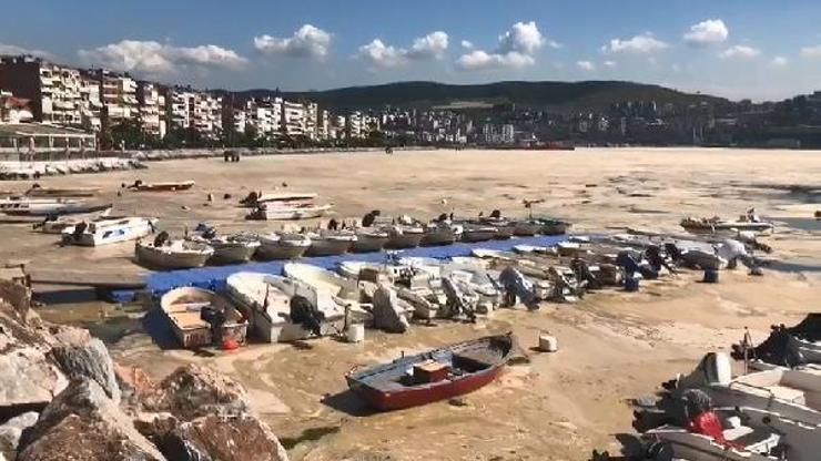 Gemlik Körfezindeki salya oluşumunun nedeni evsel atıklar ve sıcaklık değişimi