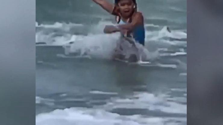 ABD’de denize giren çocuk köpek balığından böyle kaçtı
