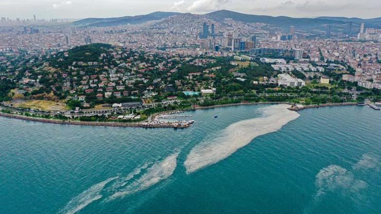 Marmaradaki müsilaj sorunu Uzman isim tek çare deyip açıkladı