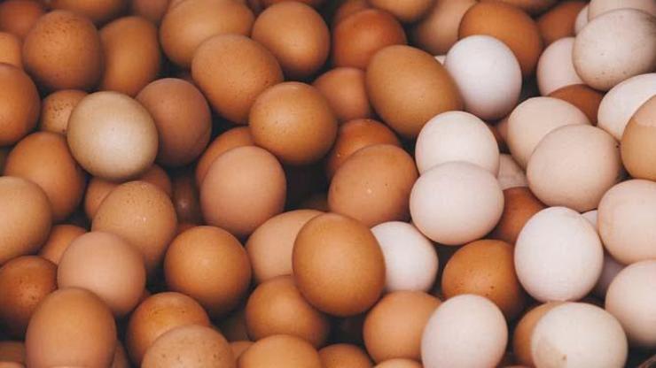Organik yumurta nasıl ayırt edilir İşte anlamanın yolu