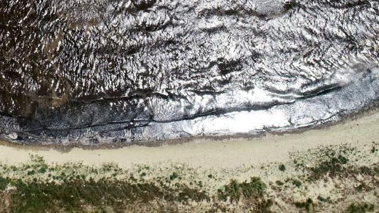 Kirlilik, Bandırma sahillerinin kumunu siyaha boyadı