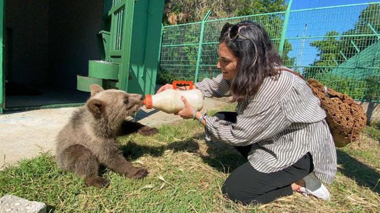 Oyuncu Aslıhan Gürbüz, yavru ayıyı biberonla besledi