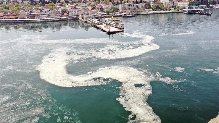 Müsailajla mücadele...  Bakan Kurum: 16 işletme faaliyetten men edildi