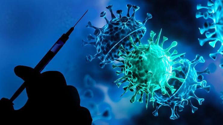 Delta varyantı görülen iller Biontech aşısı Delta mutasyonuna karşı etkili mi