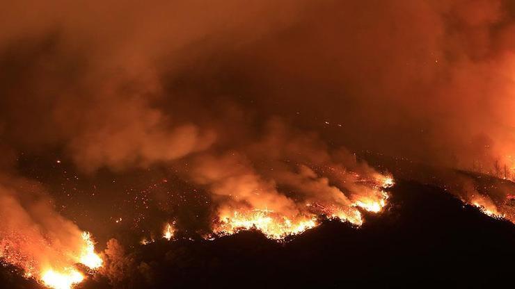 Kanadada rekor sıcak hava dalgası: Yıldırım düşmeleri sonucu 130dan fazla orman yangını çıktı