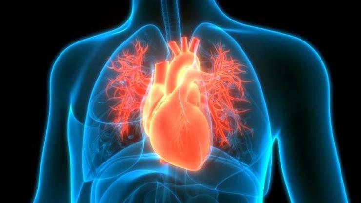 Kalp kası iltihabının 3 nedeni ve belirtileri Dr. Demet Erciyes yazdı...
