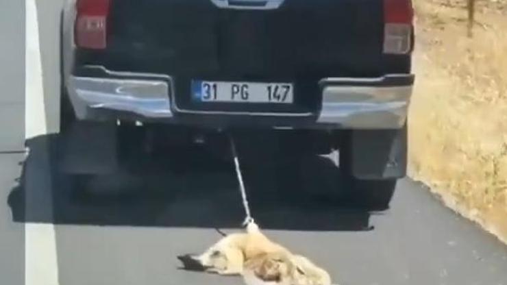 Vicdansızlık: Köpeği arabayla sürükledi