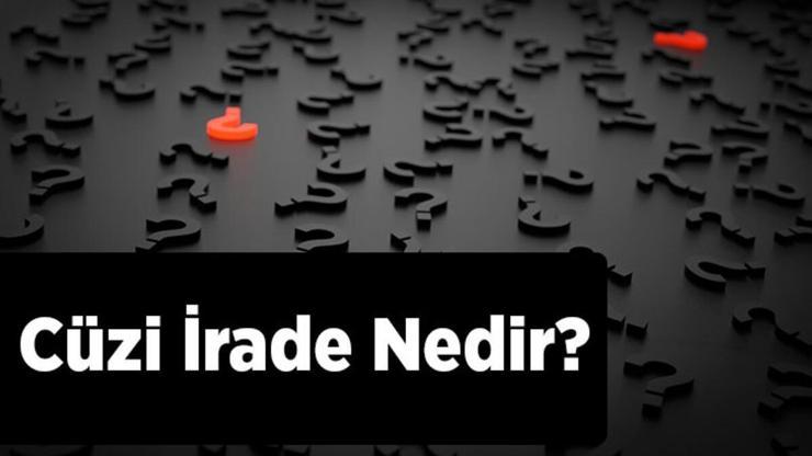 Cüzi İrade Nedir? Külli İrade Ve Cüzi İrade Örnekleri Nelerdir?