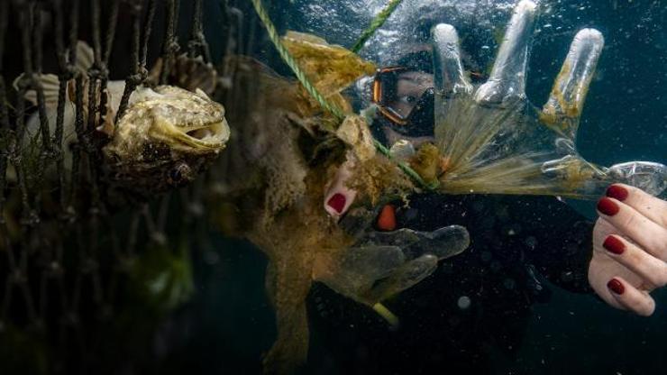 2050 yılında denizlerde balıktan çok plastiğe rastlanabilir