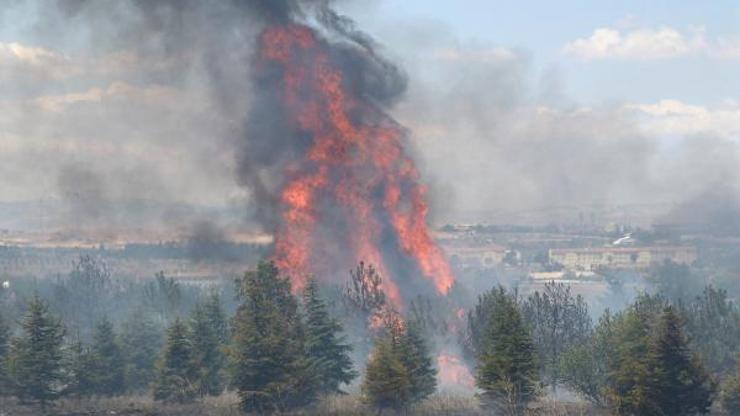 Ankarada Atatürk Orman Çiftliği arazisinde yangın: 1 kişi gözaltına alındı