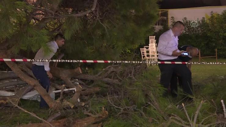 Çam ağacı masaların üzerine devrildi, bir kişi öldü