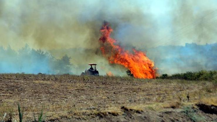Adananın 2 ilçesinde orman yangını