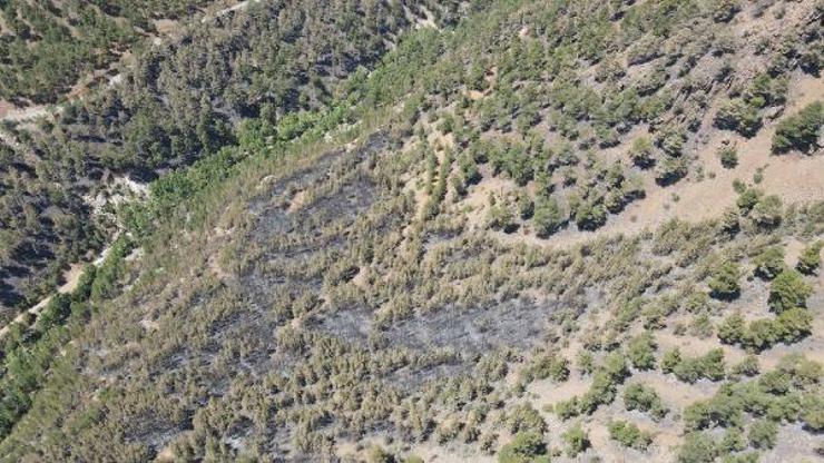 Kayseri’deki orman yangını 3üncü günde kontrol altında