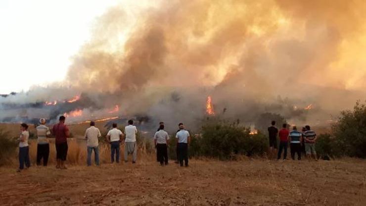 SON DAKİKA Orman yangınları nerelerde devam ediyor İşte il il, köy köy devam eden orman yangınları