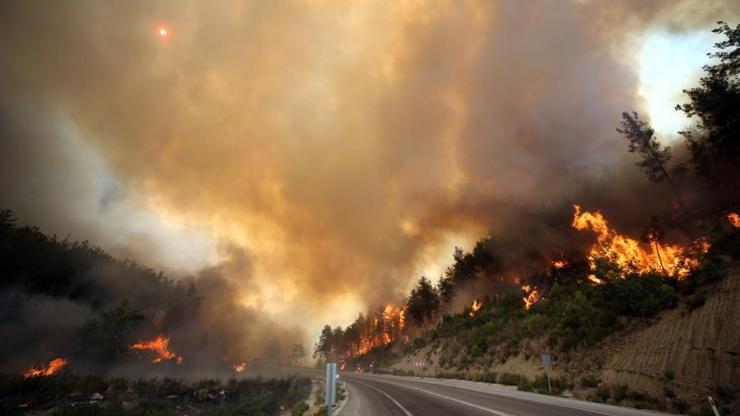 Yangınlarla mücadele sürüyor: Çökertme’yi Deli Memet rüzgarı yaktı