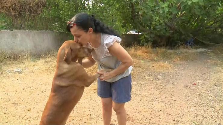 11 köpek ve 35 kedisini alevlerden korudu