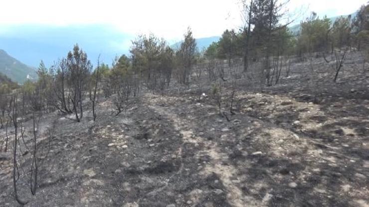 Karabük’te 13 saatte söndürülen orman yangınında 45 hektar alan yandı