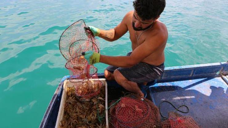 Keban Baraj Gölünde avladığı kerevitten ayda 100 bin lira kazanıyor