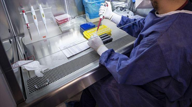 Bakan Koca duyurdu: Yüz yüze eğitimde PCR testi devlet hastanelerinde ücretsiz olacak