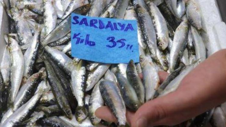 Çanakkale’de sardalyanın kilosu 35 liraya düştü