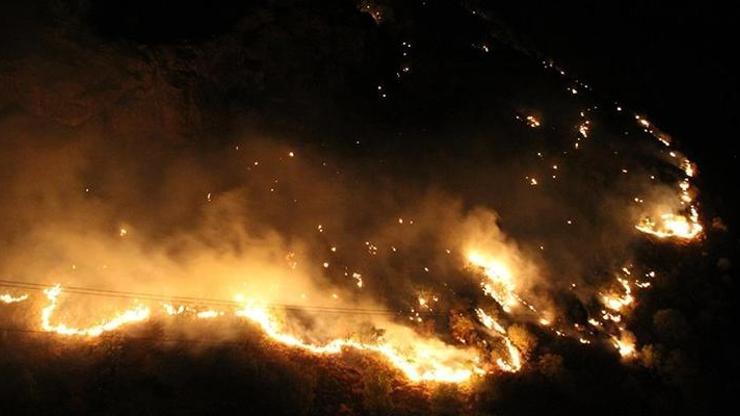 Şemdinli’de orman yangını Ekipler müdahale ediyor