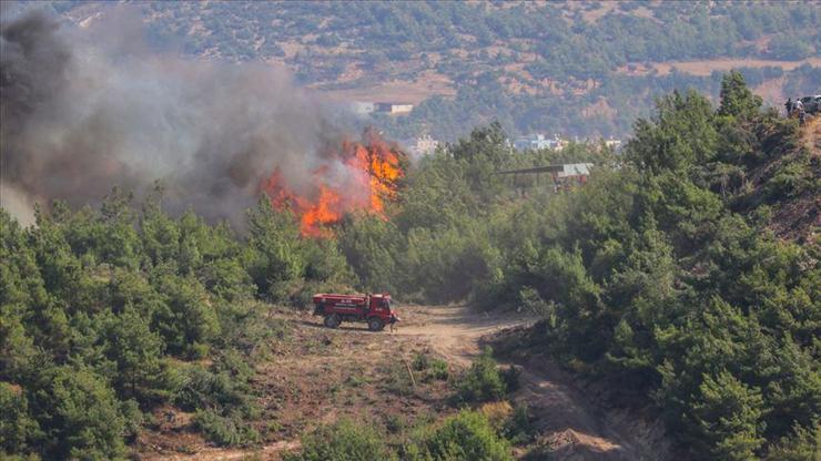 Muğla ve Antalyada ormanların sadece yüzde 5i yangınlardan etkilendi