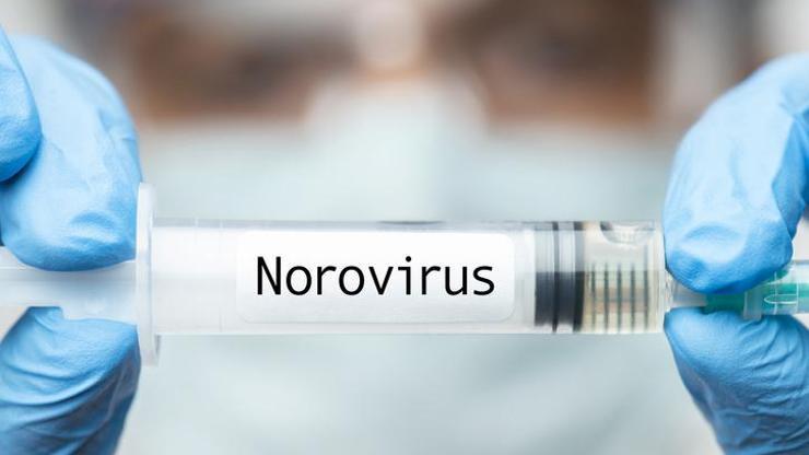 Norovirüs belirtileri nelerdir, nasıl geçer Norovirüs 2021 nasıl bulaşır, özellikleri neler