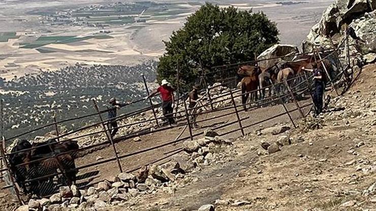 Konyada izinsiz yılkı atı toplayan yabancı uyruklu 4 kişi yakalandı