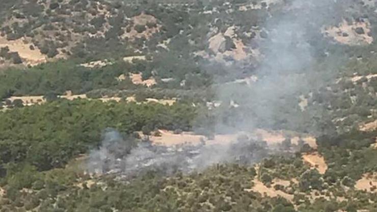İzmirin Dikili ilçesinde orman yangını