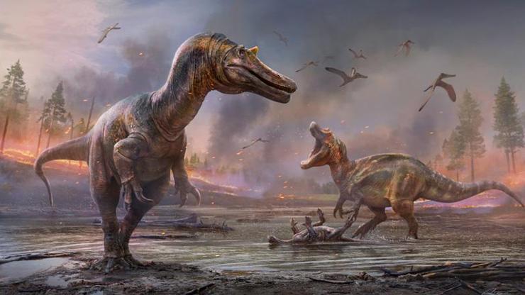 İngiltere’de kazı çalışmalarında yeni dinozor türleri bulundu