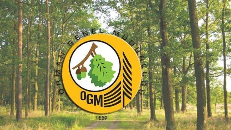 Orman Genel Müdürlüğü personel alımı şartları: OGM personel alımı başvurusu nasıl yapılır