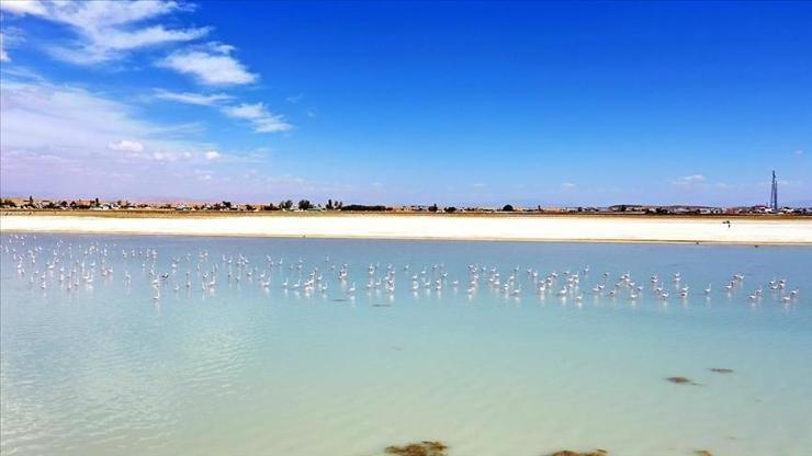 Kuş cenneti Arin Gölü küçülüyor