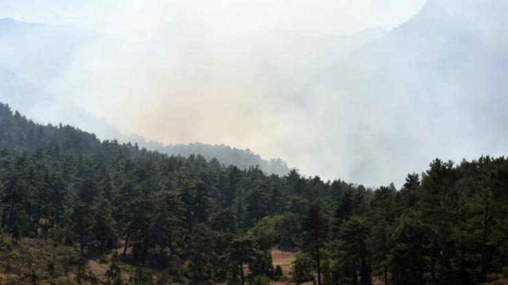 Antalyada orman yangını çıktı