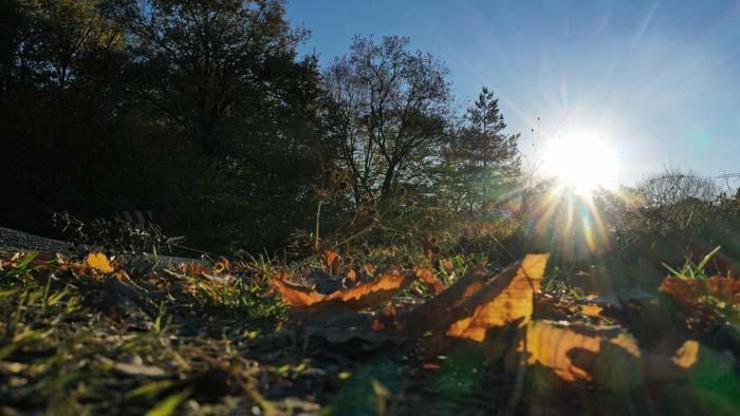 Gölcük Tabiat Parkında sonbahar güzelliği Kartpostallık görüntüler