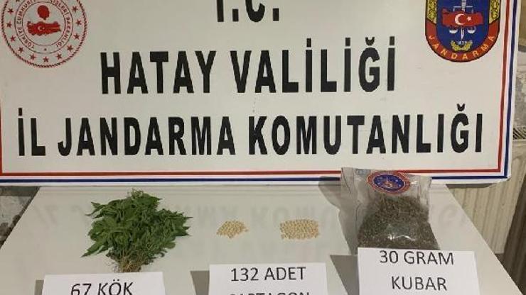 Hatayda uyuşturucu operasyonu: 2 gözaltı