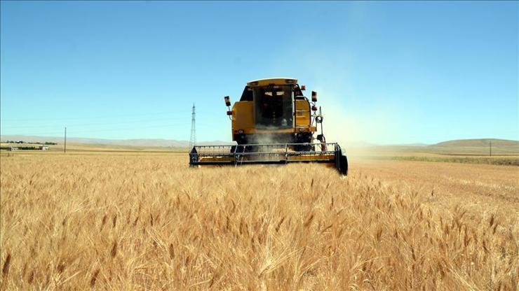 TÜİKten korkutan tahmin: Buğdaydan nohuta pek çok ürün risk altında