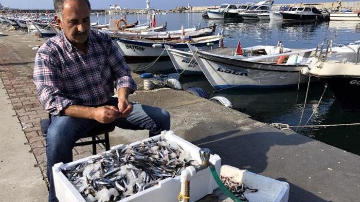 Yem fabrikaları için yapılan avlanmaya kota talebi