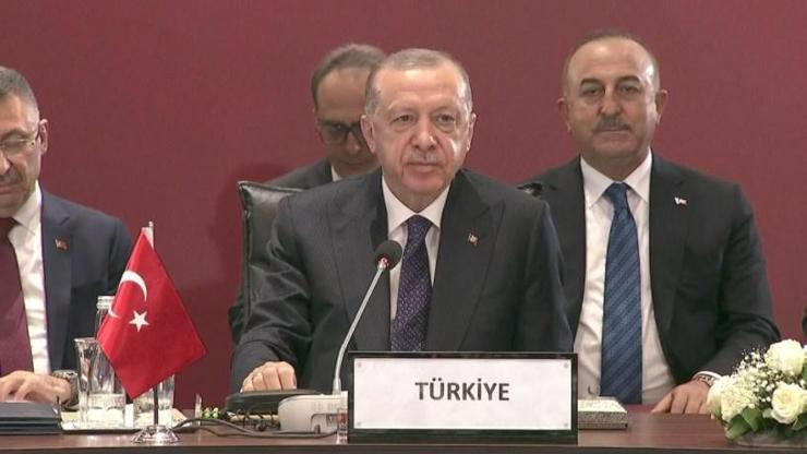SON DAKİKA: Cumhurbaşkanı Erdoğandan Türk Konseyine Kıbrıs mesajı