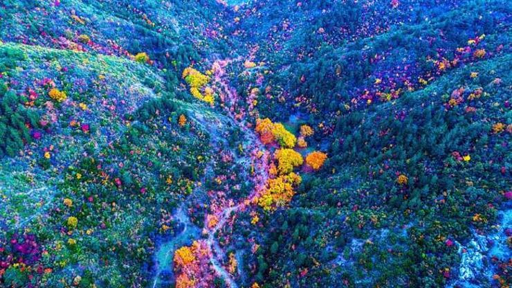 Spil Dağından sonbahar manzaraları