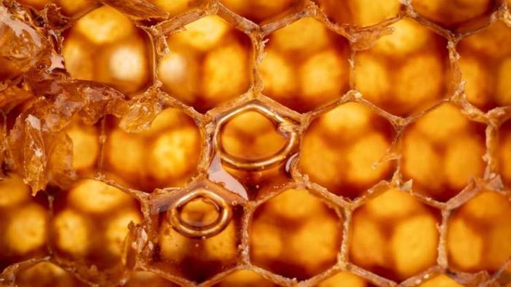 Besin takviyesi olan arı poleni kalbi koruyor, bağışıklığı güçlendiriyor