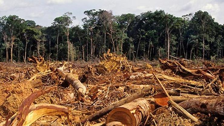 Dünyanın akciğeri Amazonlar yok oluyor