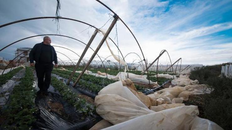 Antalyada yağmur ve fırtına: Tarım arazileri zarar gördü