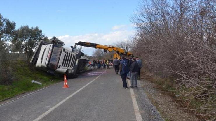 Büyükbaş hayvan yüklü TIR devrildi, şoför yaralandı Büyükbaş hayvan yüklü TIR devrildi, şoför yaralandı